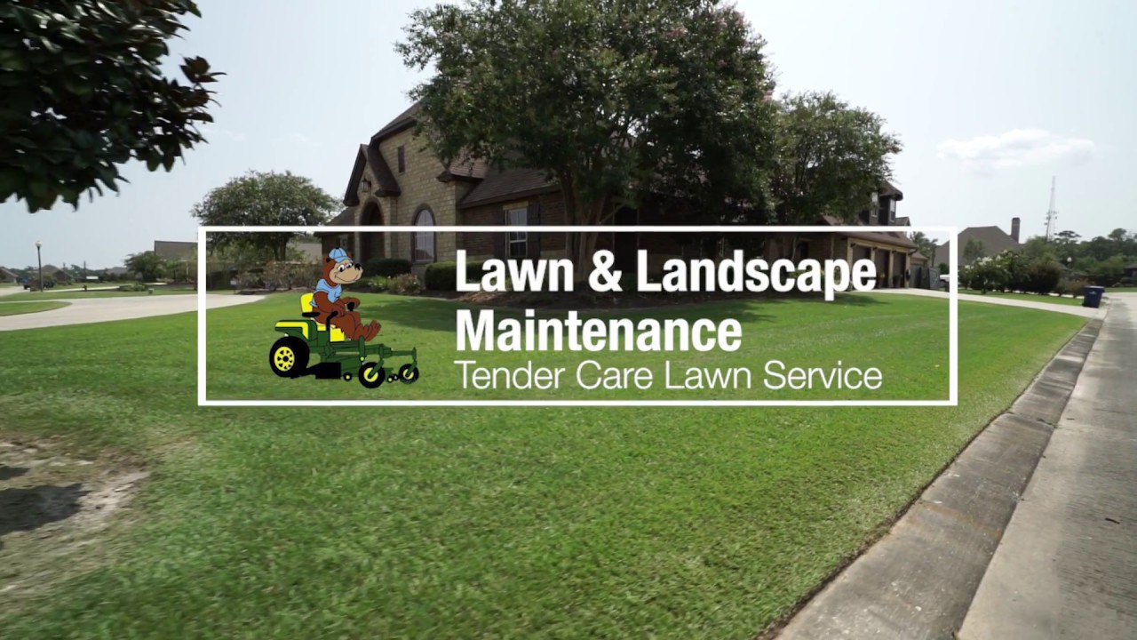Professional Lawn and Landscape Maintenance Services in Sulphur, LA