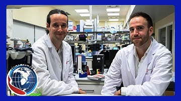 Wetenschappers ontdekken dat de ‘black box’-behandeling van kanker jaren vóór de eerste symptomen...