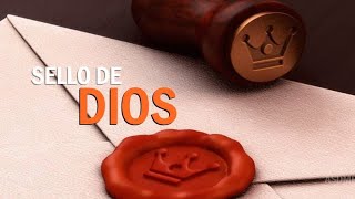 SABADO EL SELLO DE DIOS (Nelson Berrú) by PROFECÍAS BIBLICAS 1,148 views 1 month ago 2 hours, 47 minutes