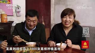 《远方的家》 20191118 长江行（72） 江畔湖边秋收忙| CCTV中文国际