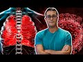 O que o CORONAVÍRUS faz no corpo | Prof. Paulo Jubilut