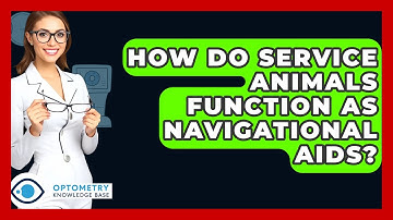 How Do Service Animals Function As Navigational Aids? - Optometry Knowledge Base
