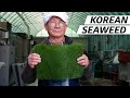 How Seaweed Harvesters Create One of Korea
