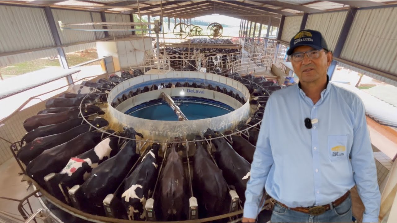 O PARAÍSO DAS VACAS LEITEIRAS EM MINAS GERAIS