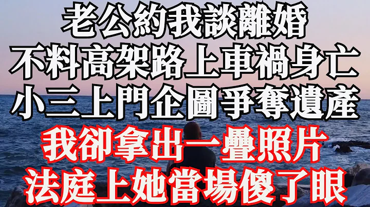 老公約我談離婚，不料高架路上車禍身亡，小三上門企圖爭奪遺產，我卻拿出一疊照片，法庭上她當場傻了眼 - 天天要聞