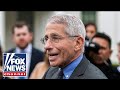 'The Five' weighs in on Fauci's fiery Senate testimony