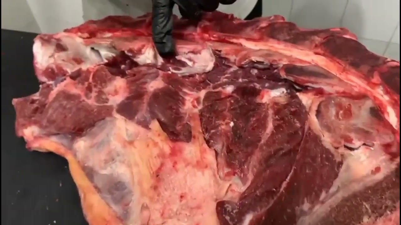 Desossa do Acém bovino| detalhada