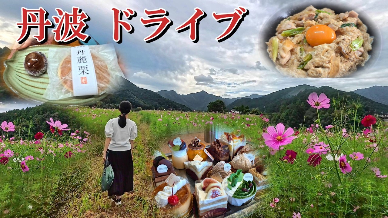 【丹波栗スイーツ三昧】清住コスモス園  達身寺 丹波地鶏の親子丼 JAの生栗