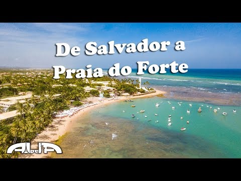 From Salvador to Praia do Forte by rental car - Salvador de Bahia - Brazil # 8