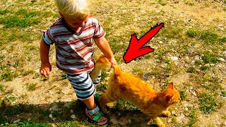 The children mistreated the kitten. What happened next will surprise you!