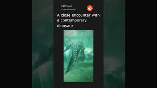 Daily Top Reddit Posts #19. 03/19/22. Top post in r/BeAmazed.