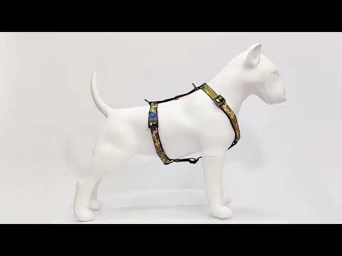 Шлея для собак анатомічна H-подібна з QR-паспортом, малюнок "Мілітарі", пластиковий фастекс, М, Ш 20 мм, А 40-70, В 50-80, видео 1