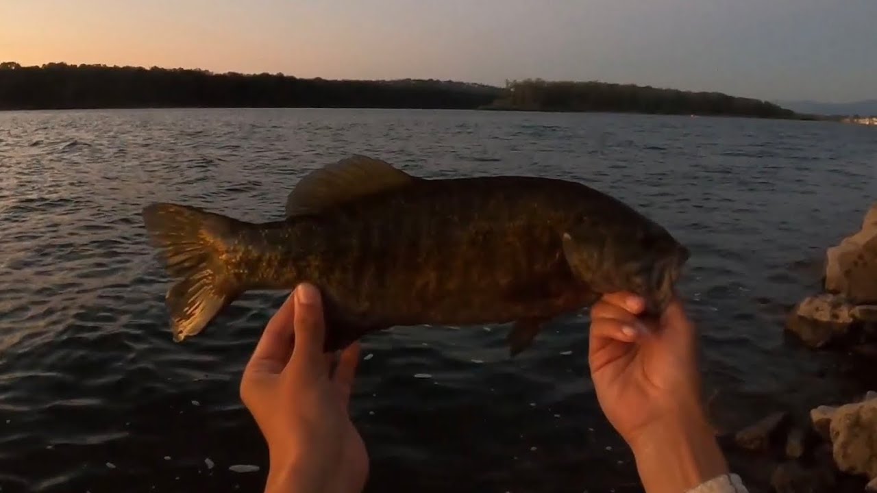 Smallmouth bass fishing the Columbia River
