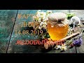 МЕДОВЫЙ СПАС! МАКОВЕЙ! КАРТА ДНЯ 14.08.2019!