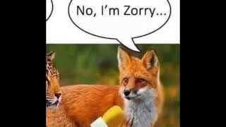 Jaguar You? No, Im Zorry...