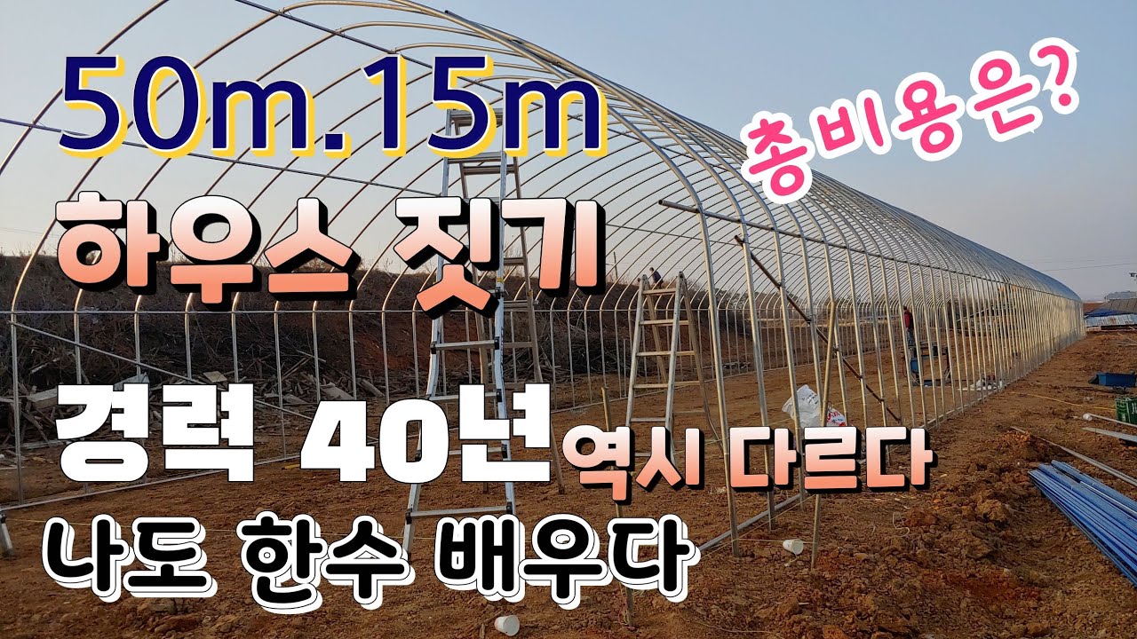 비닐하우스 짓는 숨어 있는 꿀팁!! 경력 30년 50m 하우스 짓기 첫날  총비용은? Construction of Korean-style vinyl greenhouse