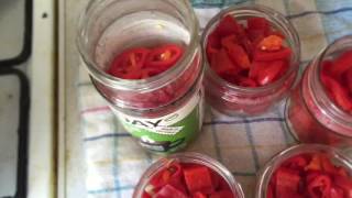 Перец су...а маринованный острый перец Перец су...а маринованный острый перец