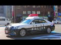 谷町筋を天王寺方面に向かうパトカー | 大阪府警察