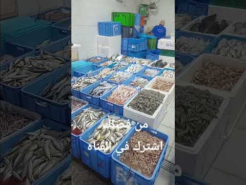 جوله في حلقه السمك بالمدينه المنورة