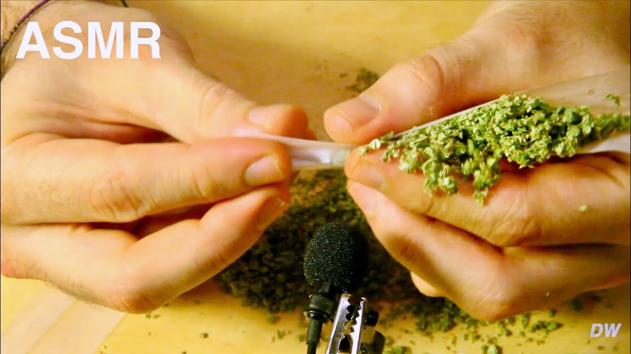 ASMR WEED | HOW TO ROLL THE BEST JOINT