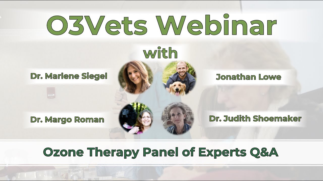 Three veterinary ozone therapy experts answer crucial questions about