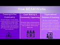 BEAM: The Black Emotional and Mental Health Collective