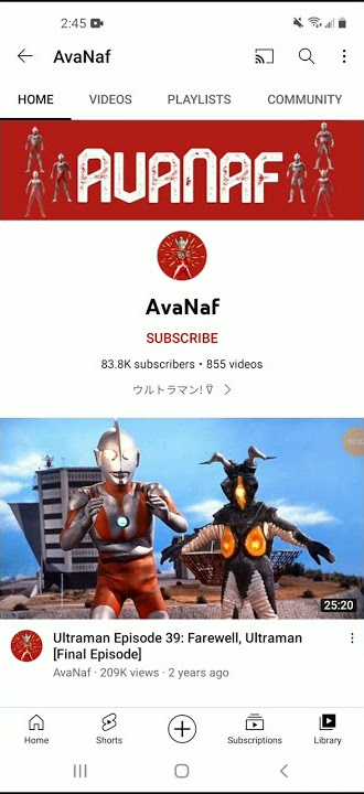 I'm Curious To How AvaNaf Avoided Getting Copyright Strikes On His/Her YouTube Channel