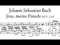 Bach  jesu meine freude bwv 1105  arp schnitger organ uithuizen groningen