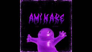 Aminake Funk Made İn Turkey Andreas