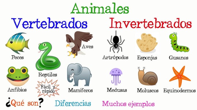 Los Reptiles Son Vertebrados O Invertebrados: Descubre la Verdad