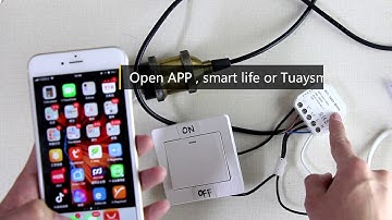 wifi samrt switch 220-240V 2300W Timer light Switch Voice Control Amazon Alexa Google App Smart Life