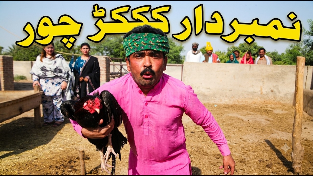 Number Daar Kokar Chor ‎Funny Video | Most Comedy Funny Video | You Tv Hd 2026