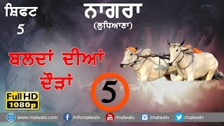 NAGRA Samrala ● OX RACES CHAMPIONSHIP - 2018 ● SHIFT 5th ● बैल गाड़ीकी दौड़ें بیل گاڑی کی دوڑے- ●