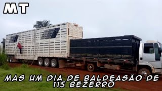 Mas um dia de Baldeação de 115 bezerro|025