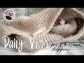 DAY in life with a RAGDOLL cat | VLOG | OH MY GI Sleeping bag | Ragdolls Pixie and Bluebell