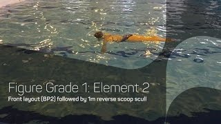 Front Layout Followed By 1m Reverse Scoop Scull | Synchronised Swimming Figures
