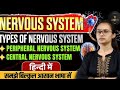 RRB NTPC 2024 | BIOLOGY | NERVOUS SYSTEM BY-SNEHA MA'AM