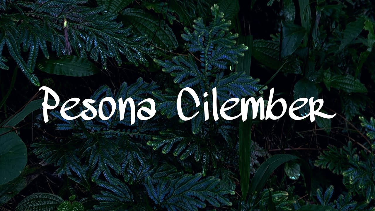 Pesona Cilember