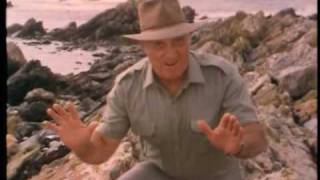 Jack Absaloms King Island Preview