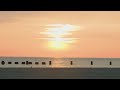 Chicago beaches open today