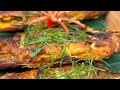 Cara Masak Nila Isi Boros | Pepes Bakar Super Wangi !!