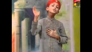 me koyal mera bagh madina syed abdullah shah naat ( 03009200104 )