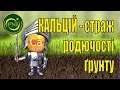 Кальцій і живлення рослин: ґрунт, рослина, дефіцит, добрива