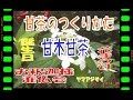 【甘茶造り・アマチャ・アジサイ・カロリーゼロ!!】