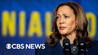 Political strategists on Kamala Harris' potential running mates