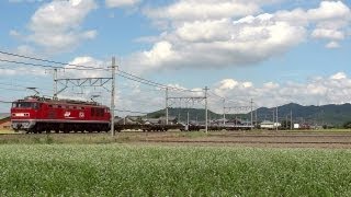 JR貨物 EF510-19 貨物列車 (3092レ レッドサンダー 赤雷) 安土-近江八幡