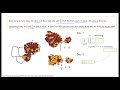 solve word problems easily - 3 - use bar models