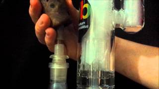 Zob Wubbler slayed by Heat Island jedHI and his HIsaber! (geek fest) - HD 1080/HQ Sound