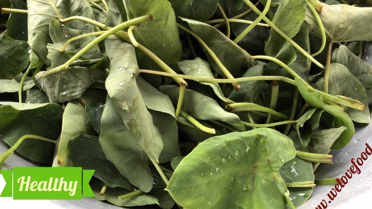 taro-leaf-recipe-healthy-vegan-youtube