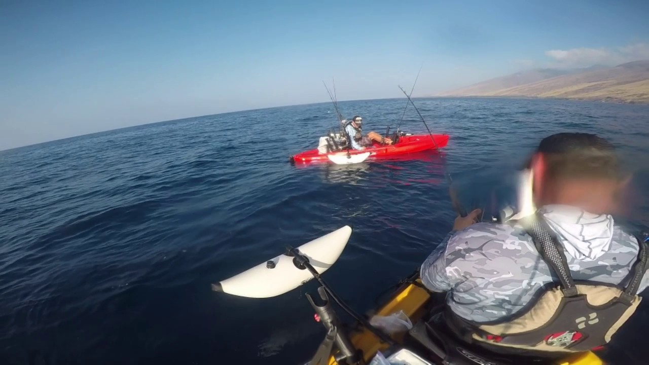 Hawaii maui kayak fishing shark battle YouTube